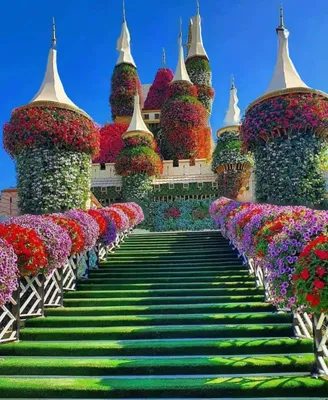 Цветочный парк Dubai Miracle Garden