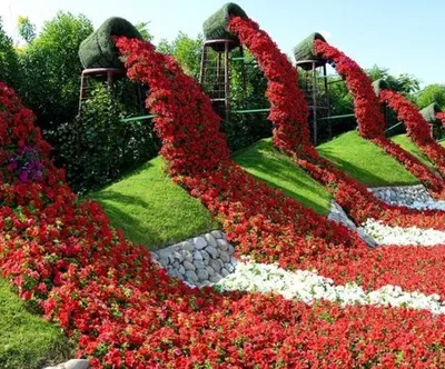 Чудесный ПАРК Цветов В ДУБАЕ 🌸🌺🌼🌻🌹DUBAI Miracle GARDEN🌼 январь 2021 -  YouTube