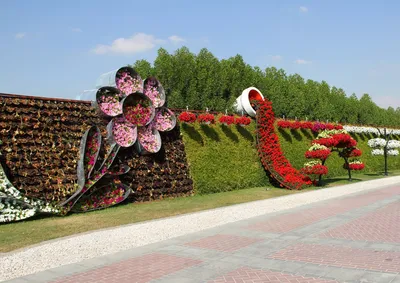 Парк цветов в Дубае 2022 | Dubai Miracle Garden | Сад Чудес | Дубай 2022 -  YouTube