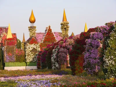 Парк цветов в Дубае Miracle Garden - наш обзор с фото, ценами, как  добраться | Оnly2weeks - путешествия своим ходом