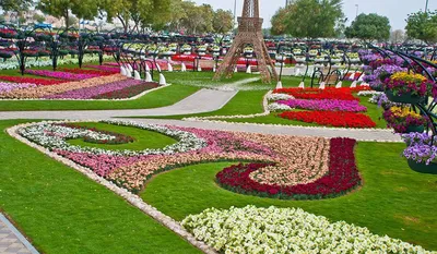 Парк Dubai Miracle Garden: обзор, цена | Посетите Дубай