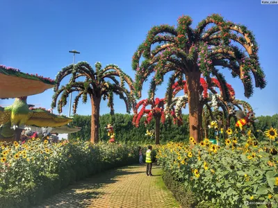 Парк цветов Dubai Miracle Garden - советы от site2max