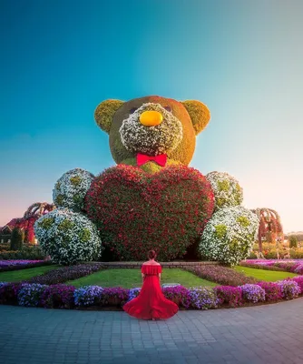 Самый большой в мире природный парк цветов: “Dubai Miracle Garden” -  Amusement Logic