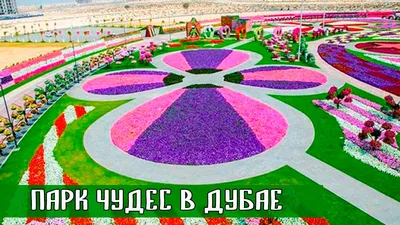 Парк цветов в Дубае Miracle Garden - наш обзор с фото, ценами, как  добраться | Оnly2weeks - путешествия своим ходом