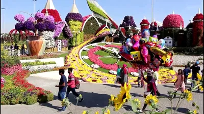 Парк цветов в Дубае Miracle Garden - Описание и Фото - Цены