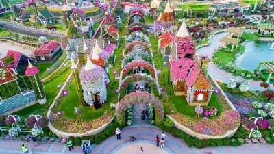 Сад чудес в Дубае. Dubai Miracle Garden - Телеканал «Моя Планета»