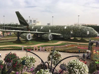 Парк цветов в Дубае Миракл Гарден Dubai Miracle Garden - YouTube