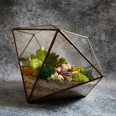 Мини-сад в бутылке (Terrarium met arrangement) - купить в Минске с  доставкой, цена и фото в интернет-магазине Cvetok.by