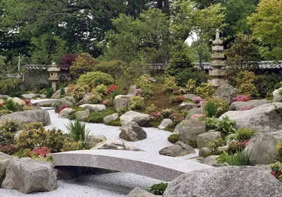 Сад в японском стиле фото фото