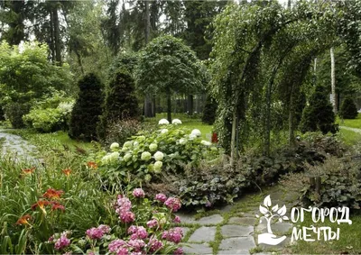 Русский сад в природном стиле , …» — создано в Шедевруме