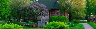 Сад в стиле «Русская усадьба» | Интернет-магазин садовых растений