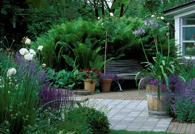 Сад в скандинавском стиле — 5 простых советов, чтобы создать шедевр |  Ботаничка | Дзен
