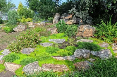 Сад в скандинавском стиле – 11 советов по созданию шведской сказки | Дизайн  участка (Огород.ru)