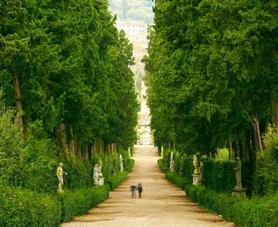 Что нужно обязательно посетить во Флоренции? Великолепные сады Боболи |  Питомник Растений №1 Экоплант | Дзен