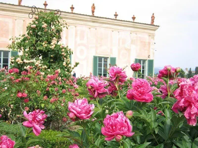 Панорамный вид на сады Боболи (Giardino Di Boboli) Редакционное Стоковое  Изображение - изображение насчитывающей известно, сады: 157999964