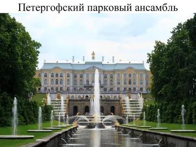 Когда откроется Мира Парк в Новосибирске, сколько стоит вход в Мира Парк в  Новосибирске - 7 мая 2021 - НГС