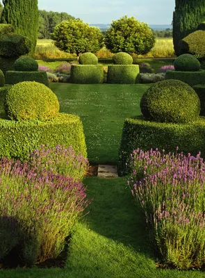 15 самых красивых садов и парков мира, которые нужно увидеть своими глазами  | myDecor