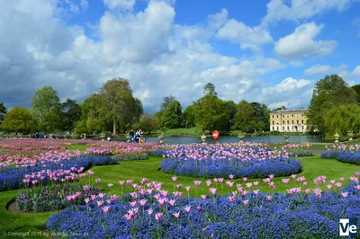 Королевские ботанические сады Кью (Royal Botanic Gardens, Kew Gardens) в  Лондоне