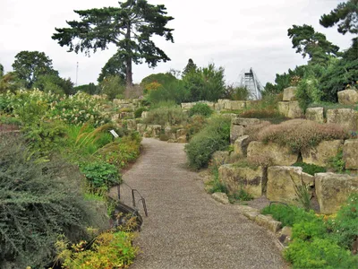 Файл:Kew Gardens Alpine House.jpg — Википедия