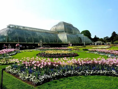 Королевский ботанический сад Кью, парк культуры и отдыха, Лондон,  Королевский ботанический сад Кью — Яндекс Карты