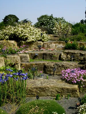 Королевские ботанические сады Кью открылись для посетителей после  реставрации | AD Magazine