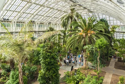 Коллекция растений в Kew Gardens признана самой разнообразной в мире -  Книга рекордов Гиннеса - ZIMA Magazine