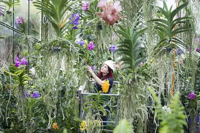 Королевские ботанические сады в Кью | Ландшафтный дизайн садов и парков