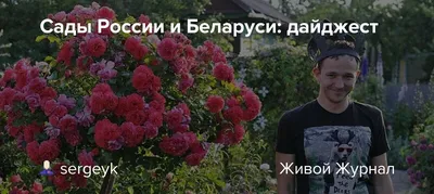 Сады России каталог весна 2022 - YouTube