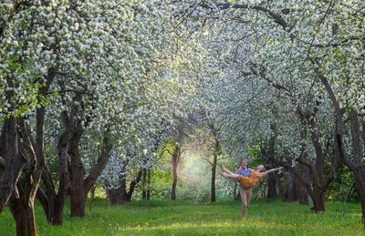 Цветут сады в интернет-магазине Ярмарка Мастеров по цене 150 ₽ – SZI9WBY |  Фотографии, Ялта - доставка по России