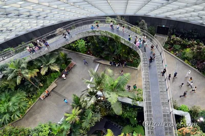 Gardens by the Bay: футуристические сады в Сингапуре / Travel.ru / Чудеса  света