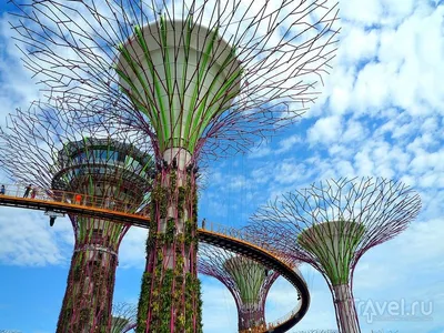 Сады у залива Gardens by the bay — Сингапур сайт что посмотреть  достопримечательности Сингапура