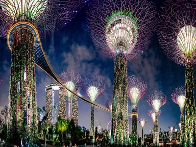 Gardens by the bay или Сады у залива - главное сингапурское чудо