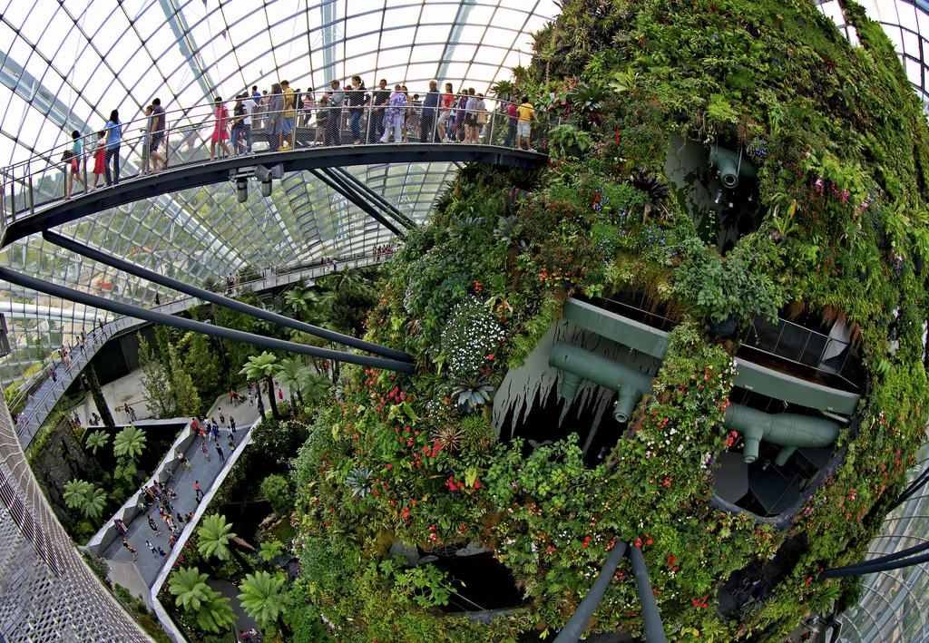 Современные ботанические сады. Сингапур оранжерея cloud Forest. Гарден Бэй Сингапур оранжерея. Сингапур, оранжерея 'Flower Dome'.. Тропический парк сады у залива Сингапур.