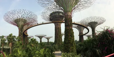 Singapore landmarks - Сады у залива (Gardens by the Bay) Футуристические  сады у залива являются одной из главных достопримечательностей и  представляют собой территорию, покрытую растительностью и занимающую 101  гектар земли. Всего сюда