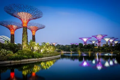 Gardens by the Bay (Сады у залива)