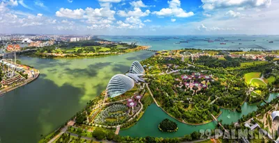 Сады у Залива (Gardens by the Bay) — парк в Сингапуре: фото, описание