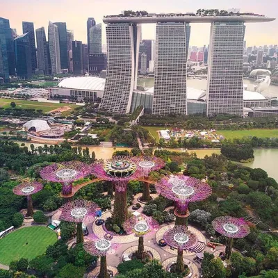 Сады у залива\"(Gardens by the Bay), Сингапуре. – Telegraph