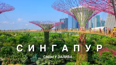 Gardens by the bay или Сады у залива - главное сингапурское чудо