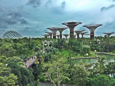 https://www.klook.com/ru/activity/127-gardens-by-the-bay-singapore/