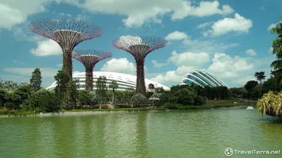 Gardens by the bay или Сады у залива - главное сингапурское чудо