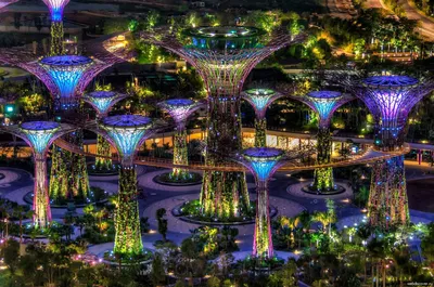 Сады у залива Gardens by the Bay, Сингапур — отели рядом, фото, видео,  цены, как добраться — Туристер.Ру