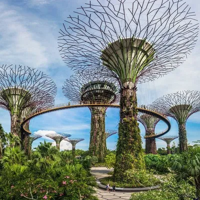 Сады Gardens by the Bay в Сингапуре | Отдых в Сингапуре