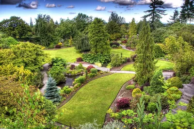 20 видов растений для сада в природном стиле | Природные стили, Ландшафт,  Водные растения