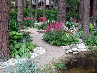 Пит Удольф и его сады в природном стиле. Сила цветников. {Образ}