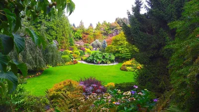 Модные мотивы красивоцветущих композиций для природного сада — Ботаничка