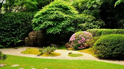 Сад природного стиля