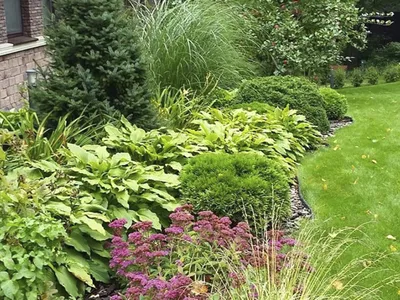 Как подобрать растения для сада в природном стиле? Советы от опытного  ландшафтного дизайнера