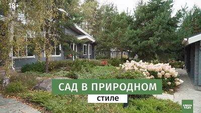 Сад в природном стиле: nature garden на пике популярности | Заказать проект  ландшафтного дизайна участка в Москве