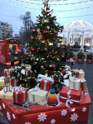 Новый год. В каком городе Кыргызстана самая красивая елка - | 24.KG