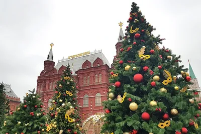 ТОП-40 — самые красивые новогодние елки во всем мире